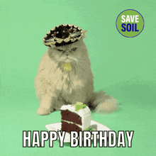 Happy Birthday Birthday Cat GIF - Happy Birthday Birthday Cat Grumpy Cat GIFs