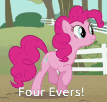 mlp evers