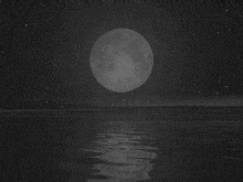 Sea Moon GIF - Sea Moon Raining GIFs