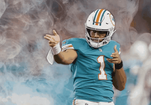 Lookrizzle2 Miami Dolphins GIF - Lookrizzle2 Lookrizzle Miami Dolphins -  Discover & Share GIFs