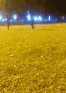 a blurry picture of a field at night with people walking in the background