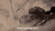 Mjungs Mochijung55 GIF - Mjungs Mjung Mochijung55 GIFs
