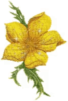 yellow bell sparkle glitters yellow bell sparkle glitters