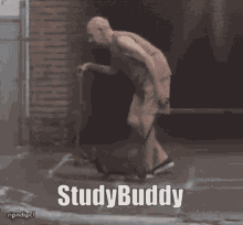 Studdybuddy GIF - Studdybuddy GIFs