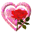 a red rose is inside of a pink heart .