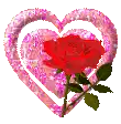 a red rose is inside of a pink heart .