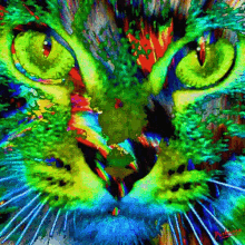 Cat Lick GIF - Cat Lick Tasty GIFs