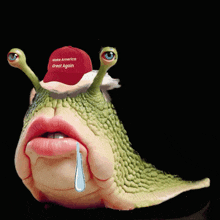 a snail with a make america great again hat on its head