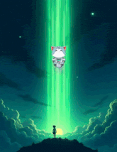 a girl stands on a hill watching a cat flying through the air