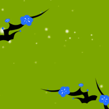 a green background with blue flowers and writing in a foreign language