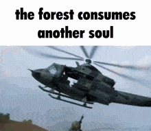 The Forest Consumes Another Soul Me When The H GIF