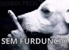 a black and white photo of a dog making a shhh gesture .