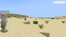 a screenshot of a minecraft game with the name swright on the bottom left