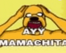 a cartoon dog is holding his head with his hands while screaming .