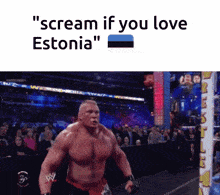 Scream If You Love Estonia I Love Estonia GIF