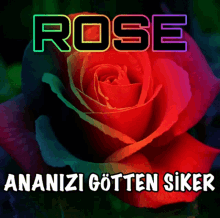 Rose_ananızı_tten GIF - Rose_ananızı_tten GIFs