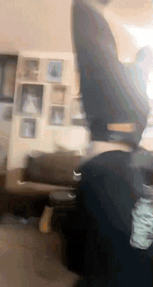 a person is sitting in a chair in a living room with pictures on the wall .