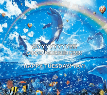 dolphins are jumping in the ocean with a rainbow in the background and the words " good morning " and " happy tuesday "