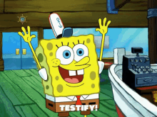 spongebob testify