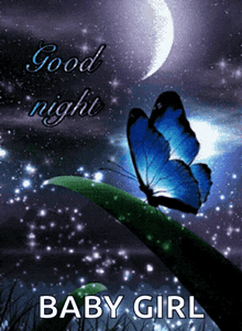 good night butterfly moon star sparkle