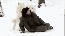 Loup GIF