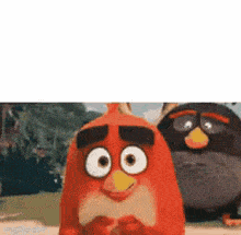 Angry Birds Movie Red Angry Birds GIF - Angry Birds Movie Angry Birds Red Angry Birds GIFs