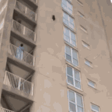 Spider Cat Super Cat GIF - Spider Cat Super Cat Cat Fly GIFs