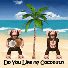 two monkeys on a beach holding coconuts with the words do you like my coconuts below them