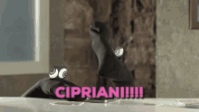 Cipriani Sorcio GIF - Cipriani Sorcio Secco GIFs