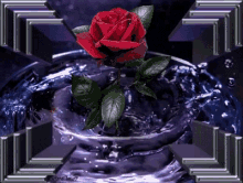Rose Purple GIF - Rose Purple Animation GIFs