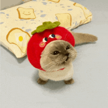 a cat wearing a strawberry hat is standing in front of a pillow