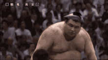 Sumo Sumo Fight GIF - Sumo Sumo Fight Fighter GIFs