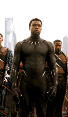 Wakanda Forever GIF - Wakanda Forever Black Panthers GIFs