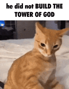 Build The Tower Of God GIF - Build The Tower Of God GIFs