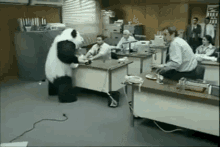 残業 職場 パンダチーズ Never Say No To Panda GIF - Office Work Overtime GIFs