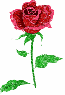 sparkle glitters flower roses red rose
