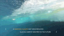 A Warming Climate May Mean Reduced Glacial Habitat And Prey In The Future National Geographic GIF - A Warming Climate May Mean Reduced Glacial Habitat And Prey In The Future National Geographic Adelie Penguin Numbers Have Marched Upward GIFs