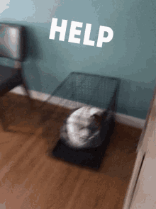 Help Me Cage GIF - Help Me Cage Poor Dog GIFs