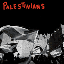 Middle East Palestinian Liberation GIF - Middle East Palestinian Liberation War GIFs