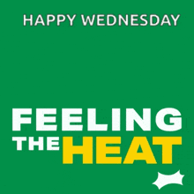 happy wednesday feeling the heat with a sun wearing sunglasses on a green background