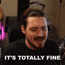 It'S Totally Fine Bionicpig GIF - It'S Totally Fine Bionicpig It'S Absolutely Perfect GIFs