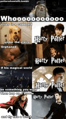 Harry Potter Who Is Harry Potter GIF - Harry Potter Who Is Harry Potter Harry GIFs