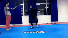 Merabshukakidze Taekwondo GIF - Merabshukakidze Shukakidze Merab GIFs