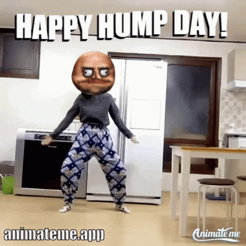 happy hump day funny meme