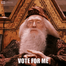 Dumbledore Vote GIF - Dumbledore Vote Harry Potter GIFs