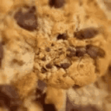 Cookies Food GIF