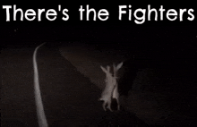 Bunny Theres The Fighters GIF - Bunny Theres The Fighters Bunny Gang GIFs