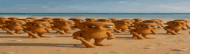 a group of cartoon characters are standing on a sandy beach .