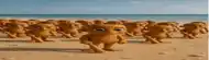 a group of cartoon characters are standing on a sandy beach .