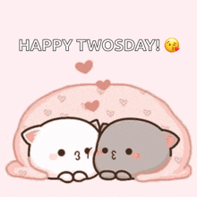 a happy twosday greeting card with two cats hugging